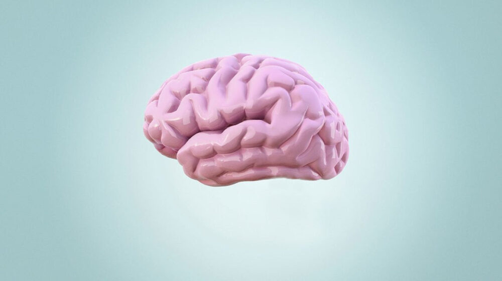 Illustrated brain in pink against blue background